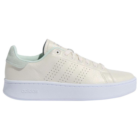 Adidas Advantage bold